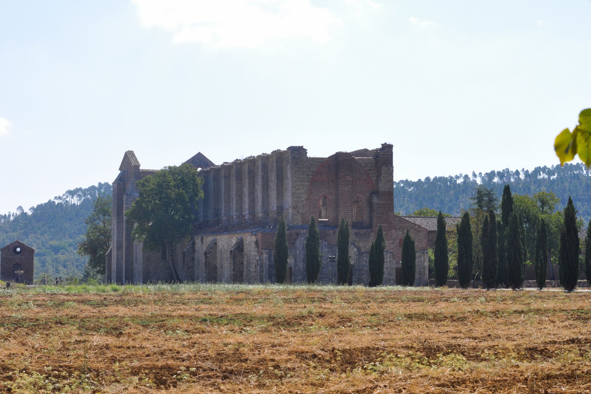 L’Abbazia di San Galgano: icona di spiritualità e storia